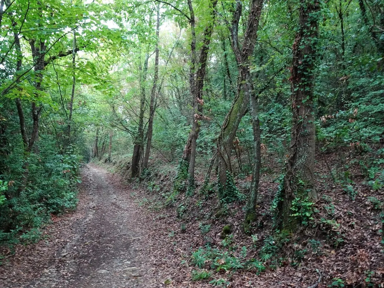 Route afbeelding slider