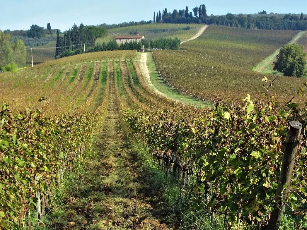 Route afbeelding slider