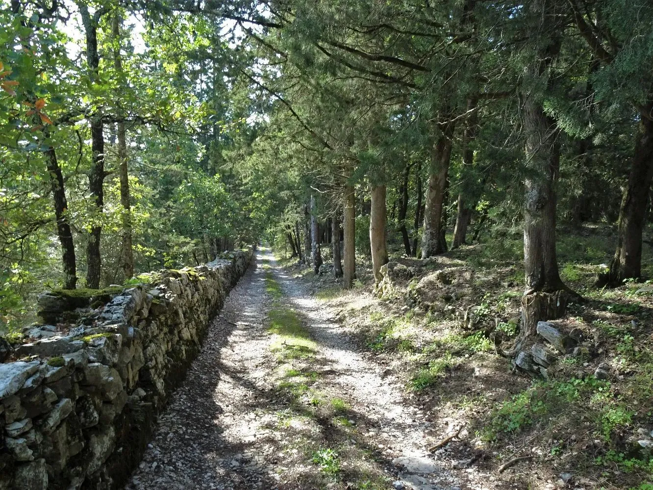 Route afbeelding slider