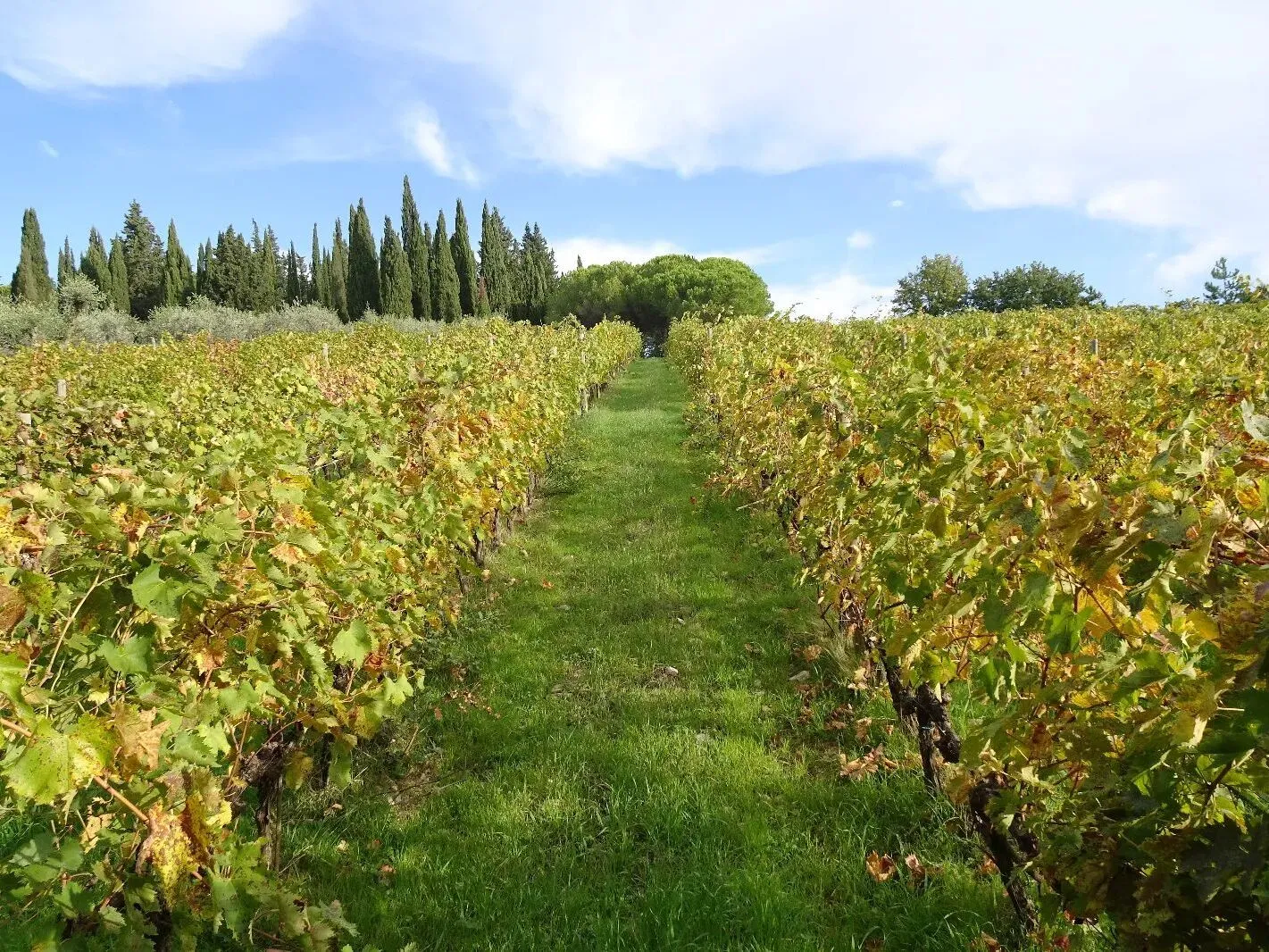 Route afbeelding slider