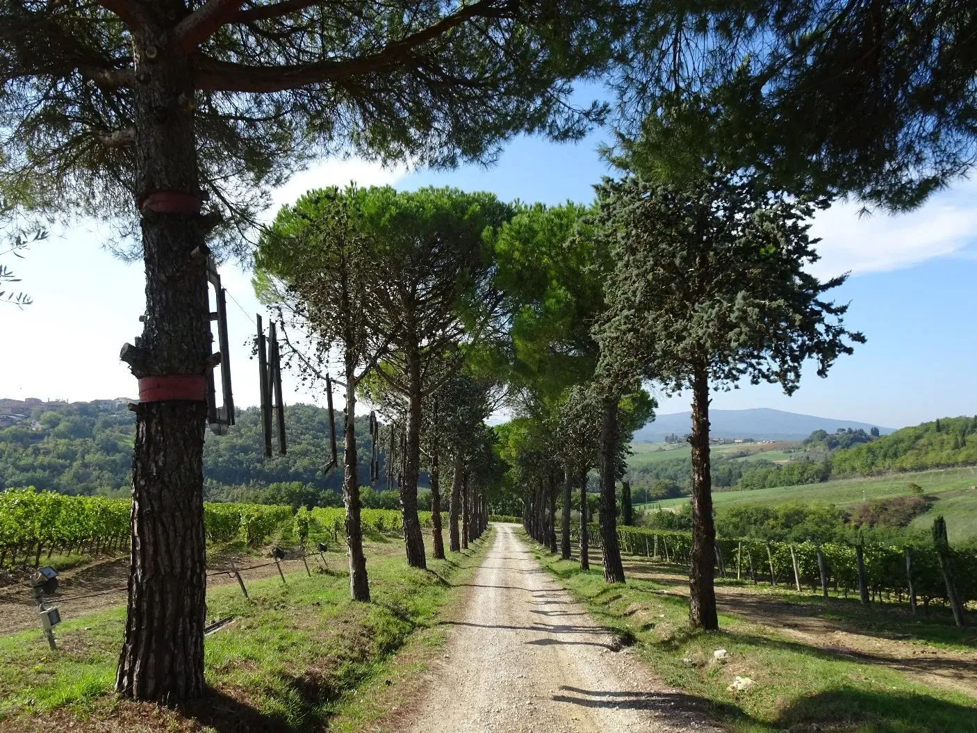 Route afbeelding slider