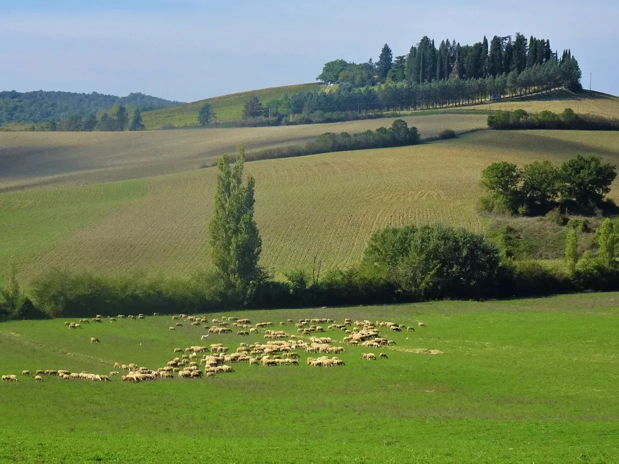 Route afbeelding slider