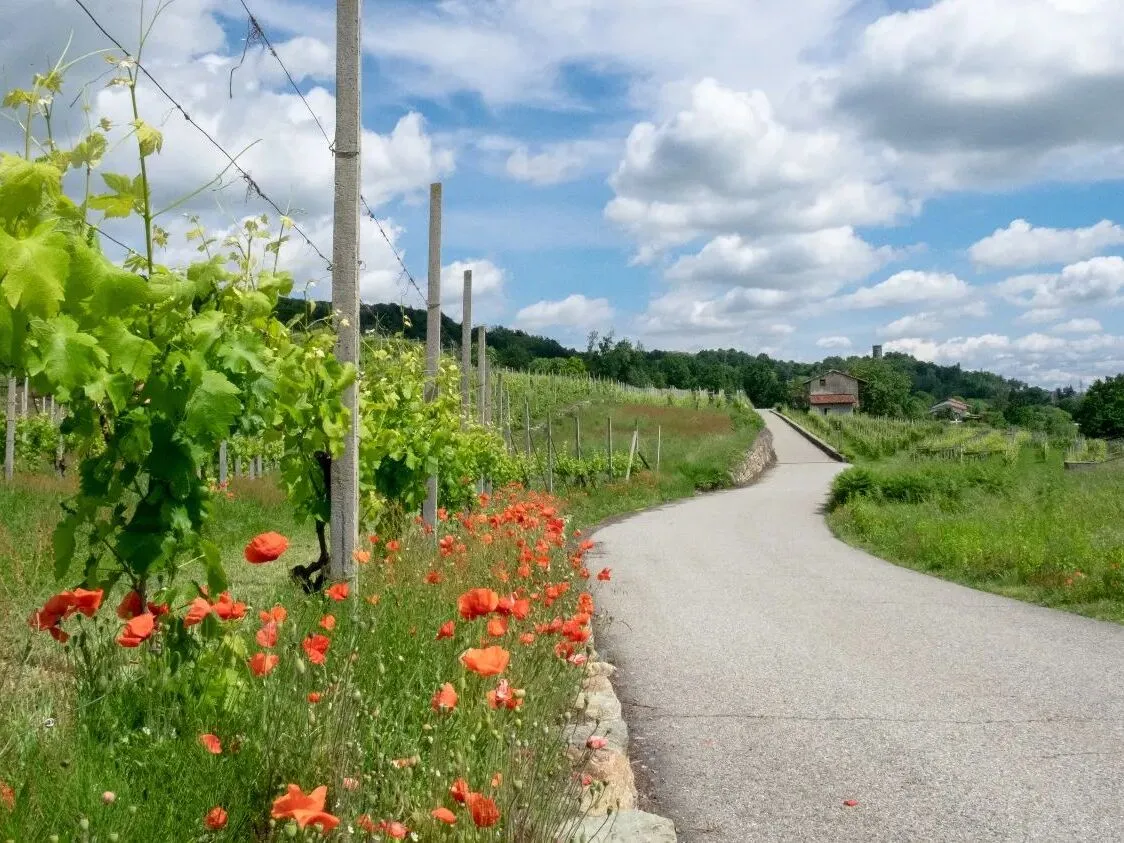 Route afbeelding slider