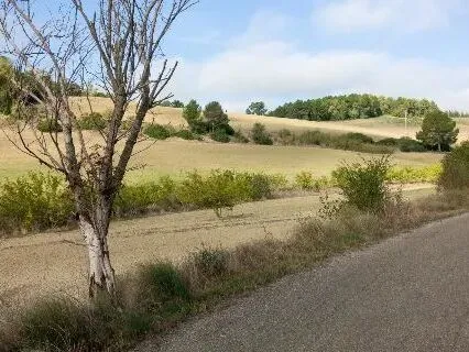 Route afbeelding slider