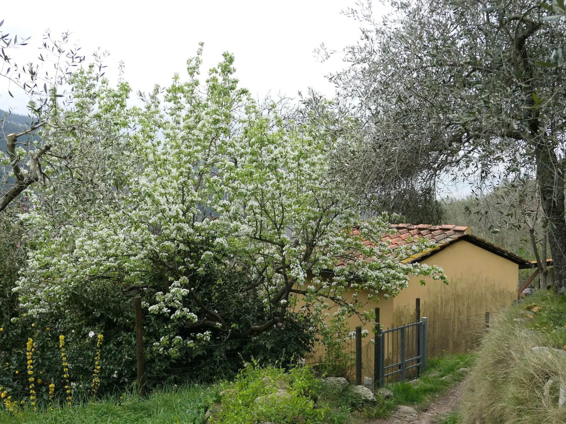 Route afbeelding slider