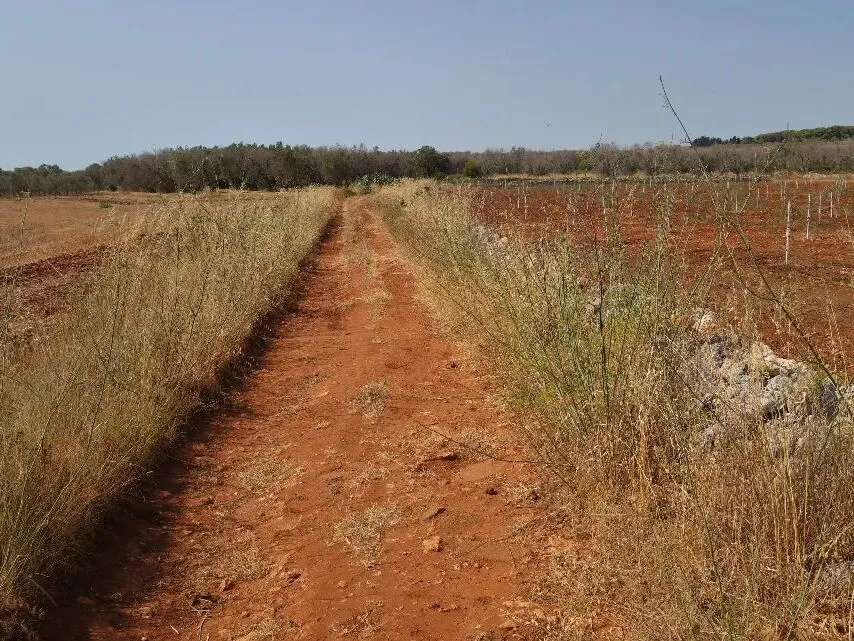 Route afbeelding slider