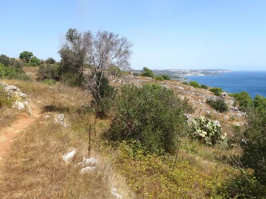 Route afbeelding slider