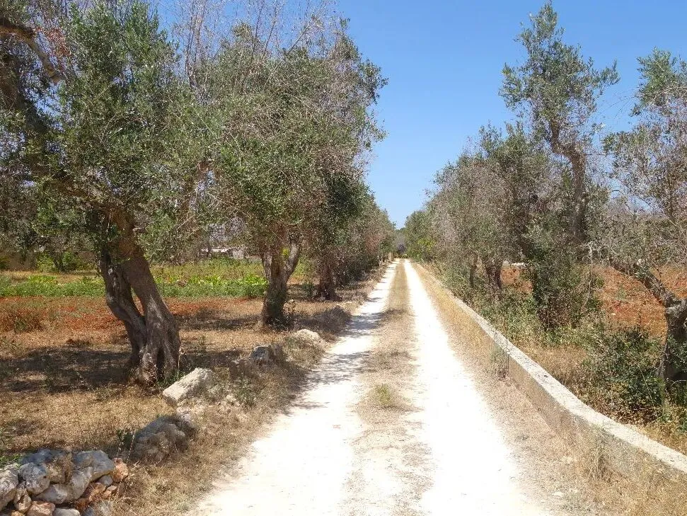 Route afbeelding slider