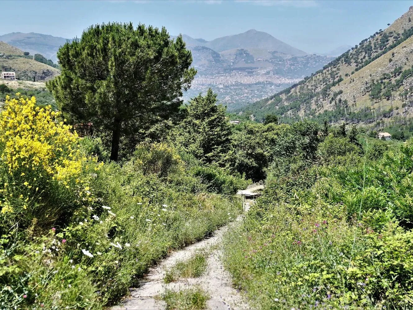 Route afbeelding slider