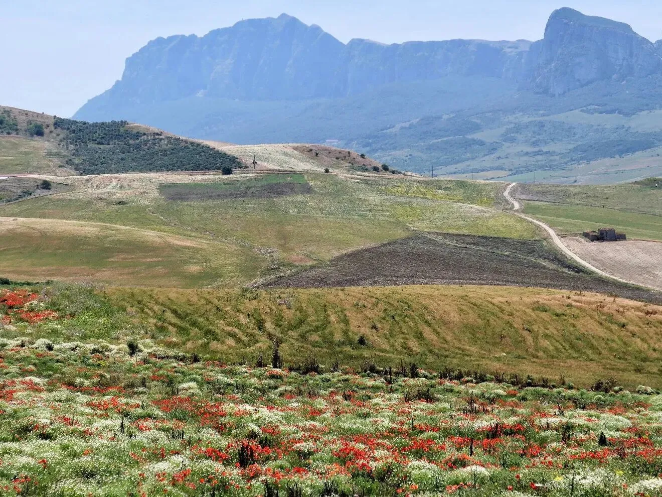 Route afbeelding slider