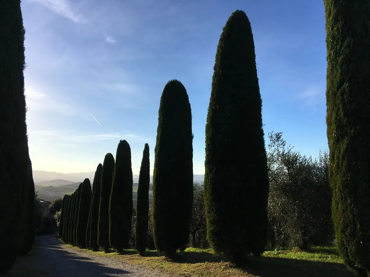 Route afbeelding slider