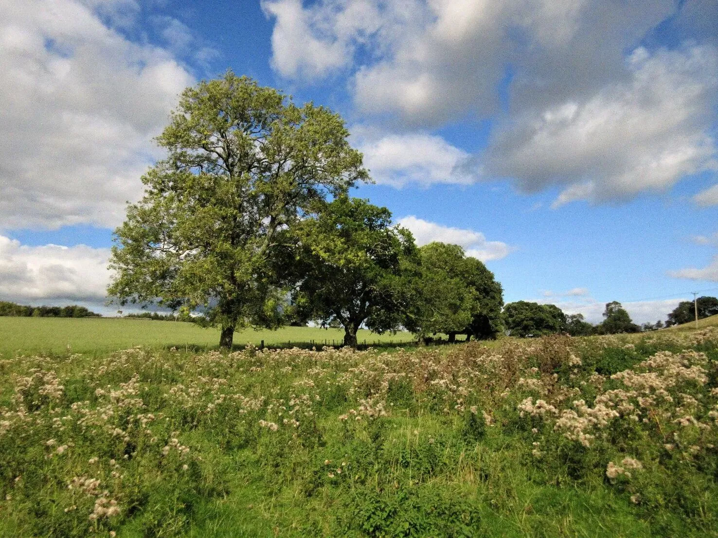 Route afbeelding slider