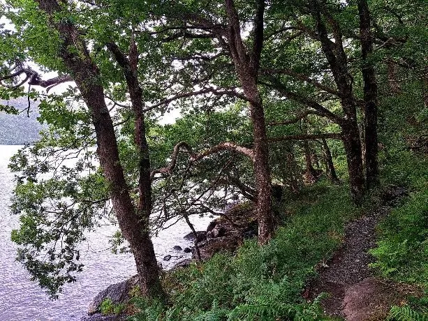 Route afbeelding slider