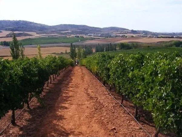 Route afbeelding slider