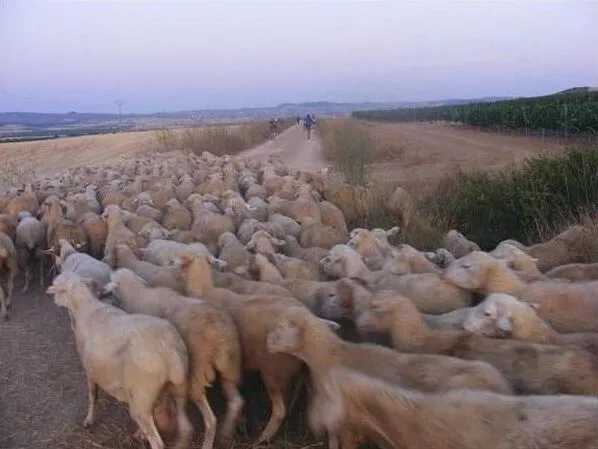 Route afbeelding slider