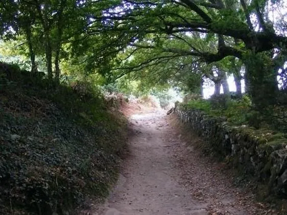 Route afbeelding slider