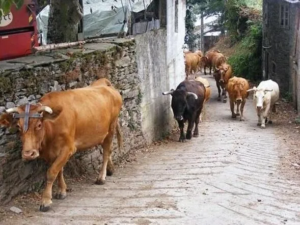 Route afbeelding slider