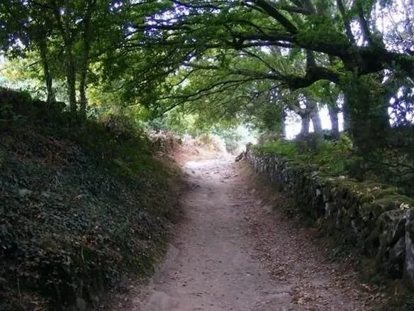 Route afbeelding slider