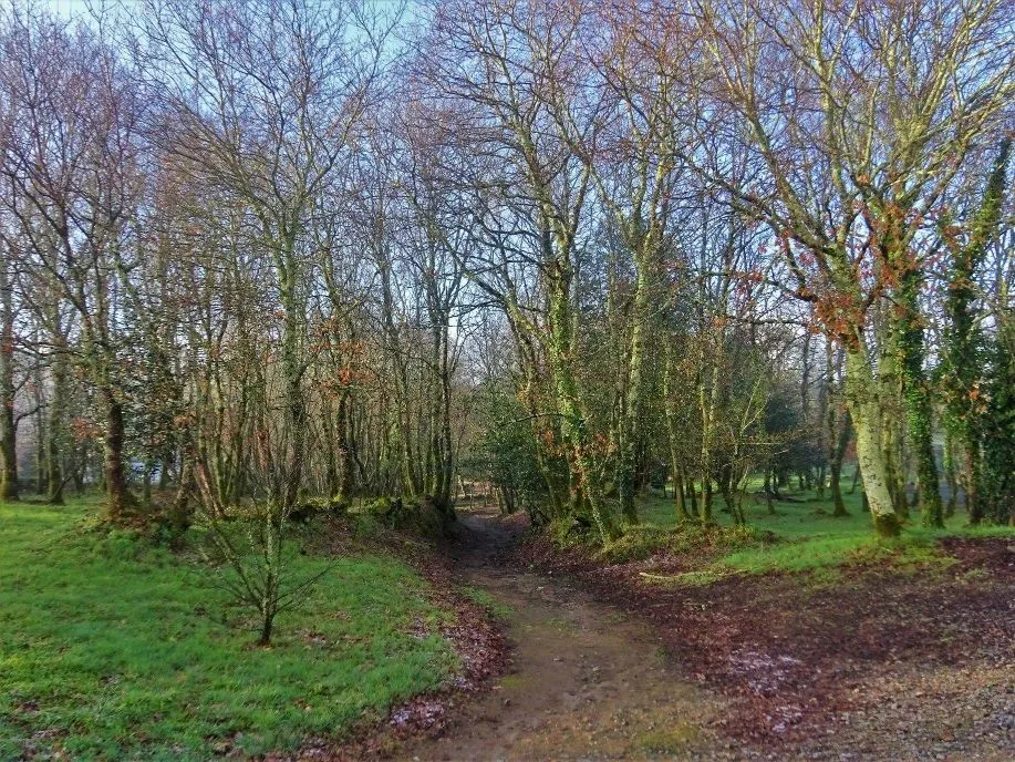 Route afbeelding slider