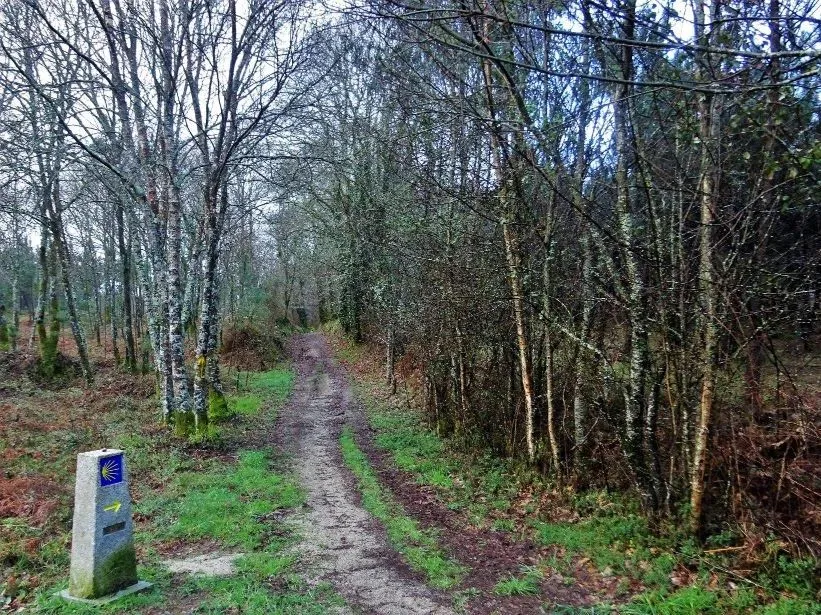 Route afbeelding slider