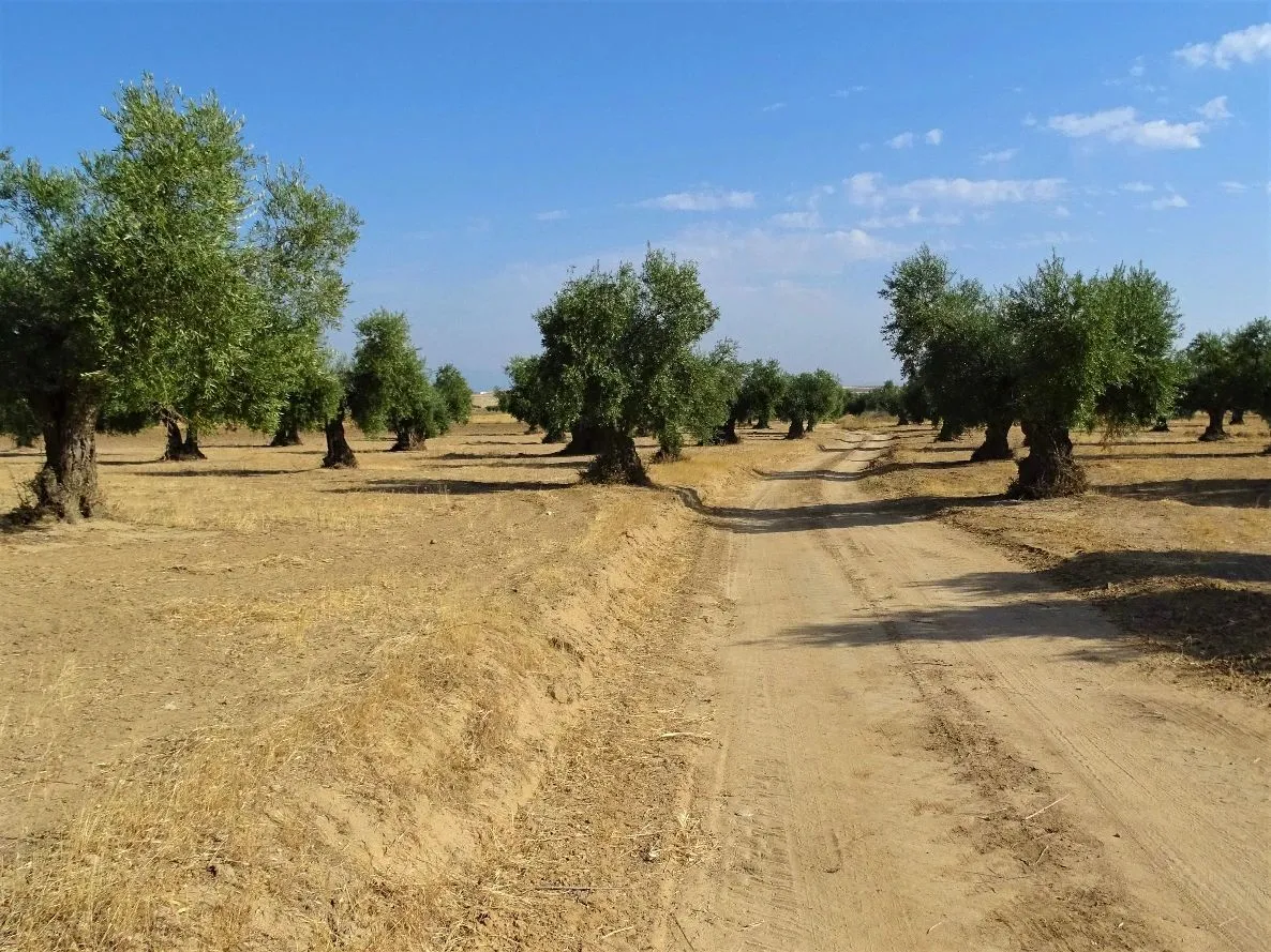 Route afbeelding slider