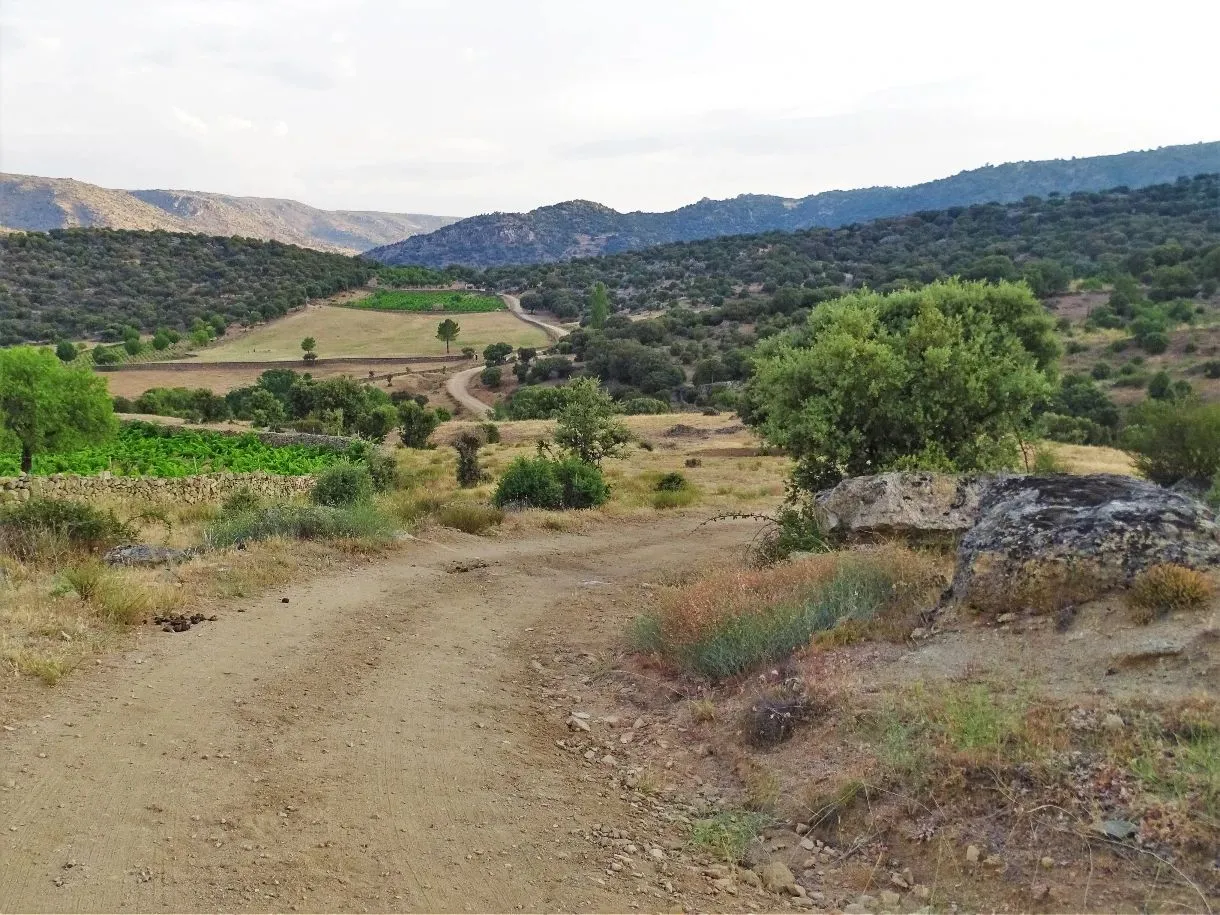 Route afbeelding slider