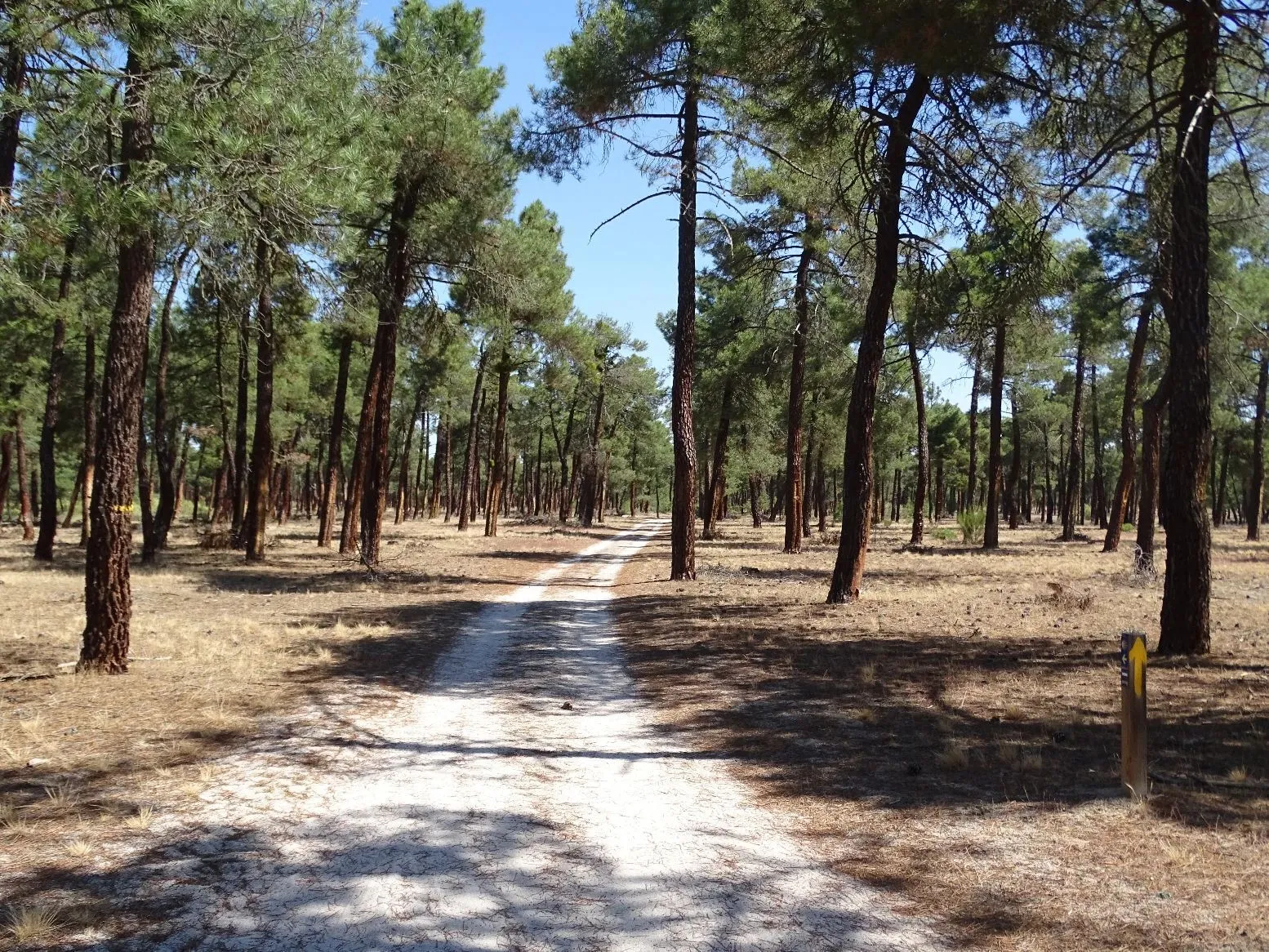 Route afbeelding slider