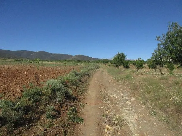 Route afbeelding slider