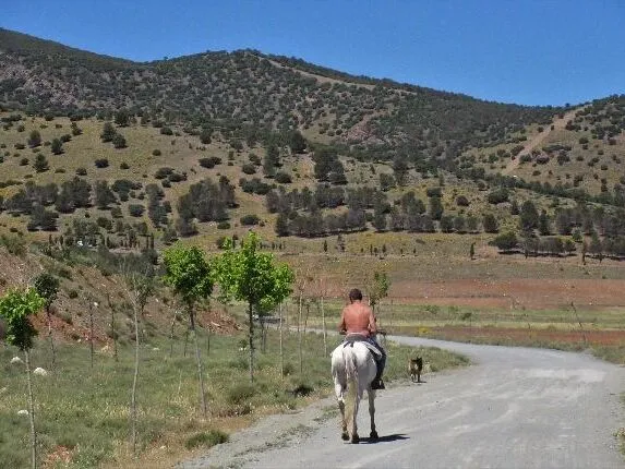 Route afbeelding slider