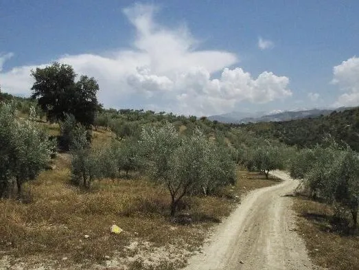 Route afbeelding slider