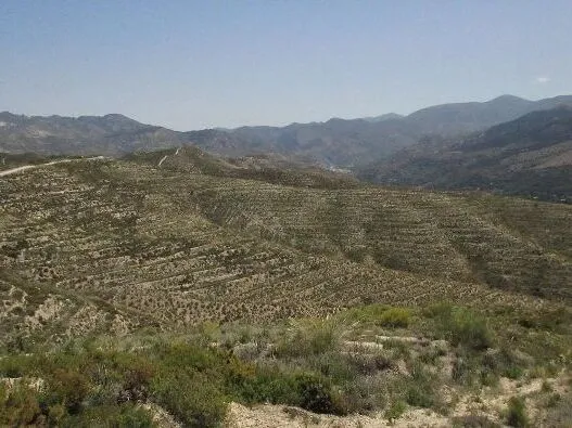 Route afbeelding slider