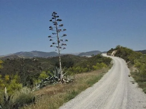 Route afbeelding slider