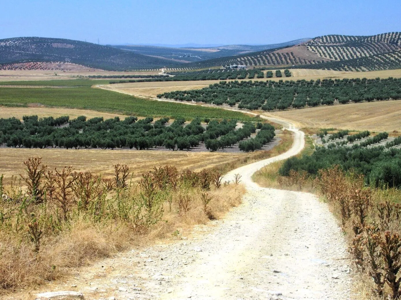 Route afbeelding slider