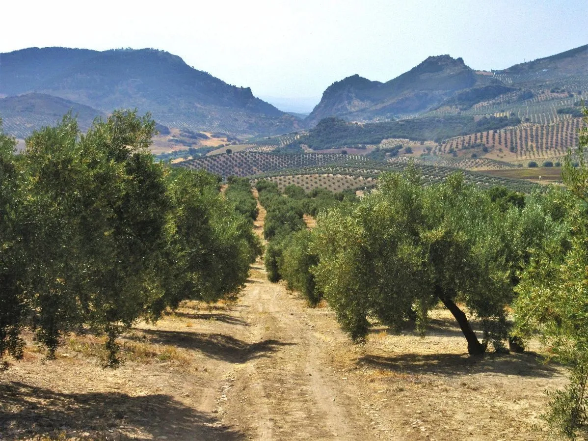 Route afbeelding slider