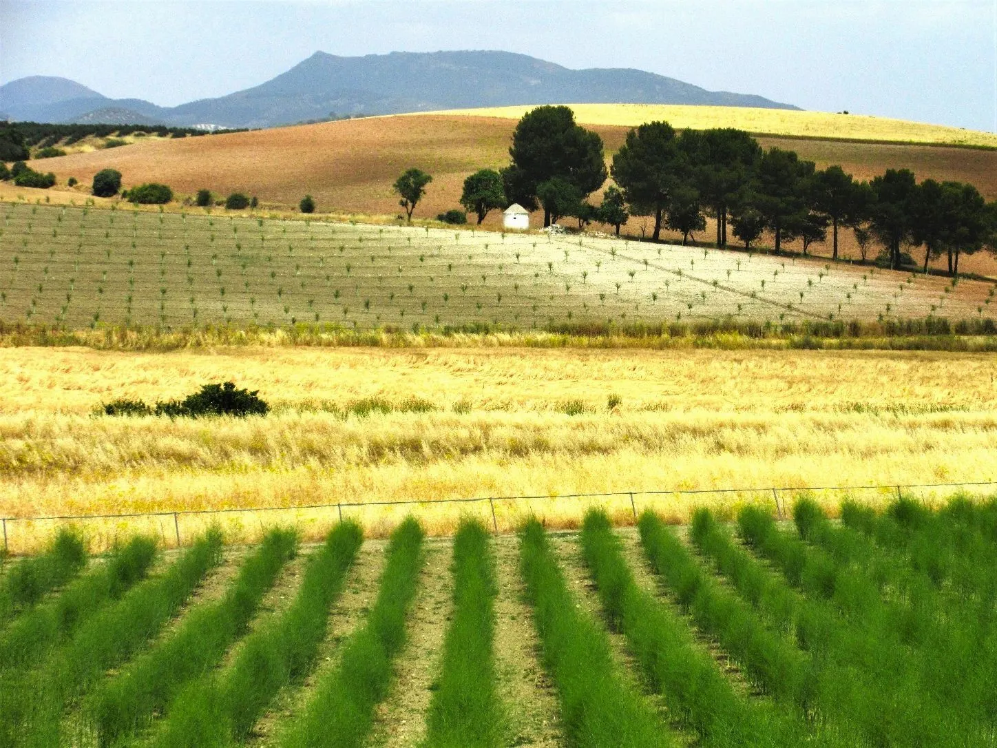 Route afbeelding slider