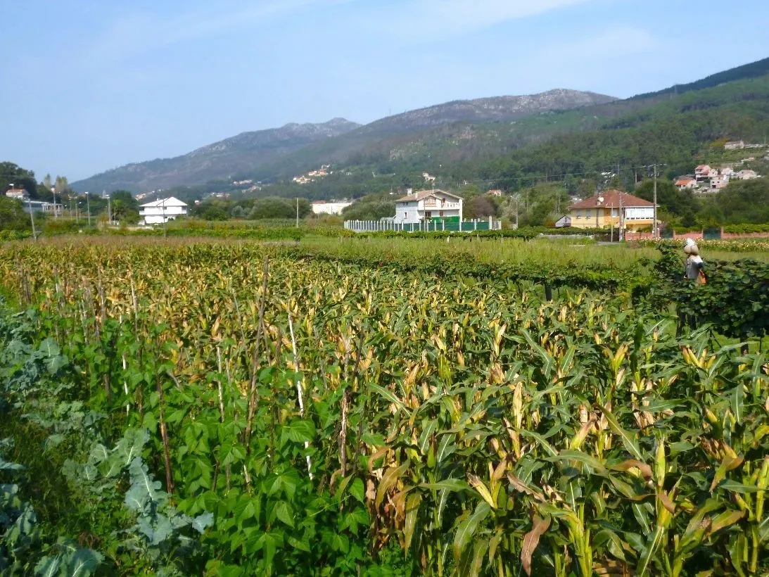 Route afbeelding slider