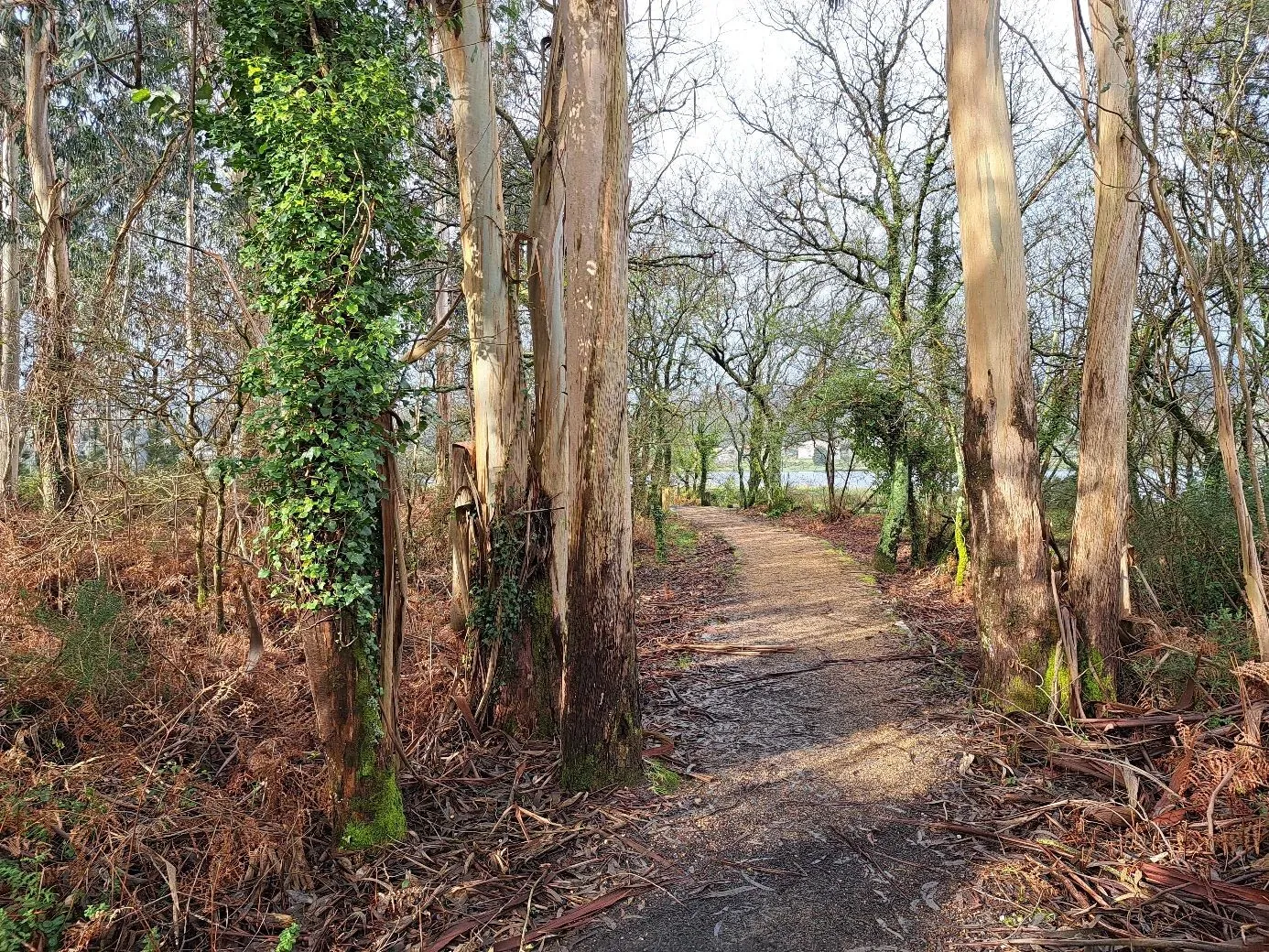 Route afbeelding slider