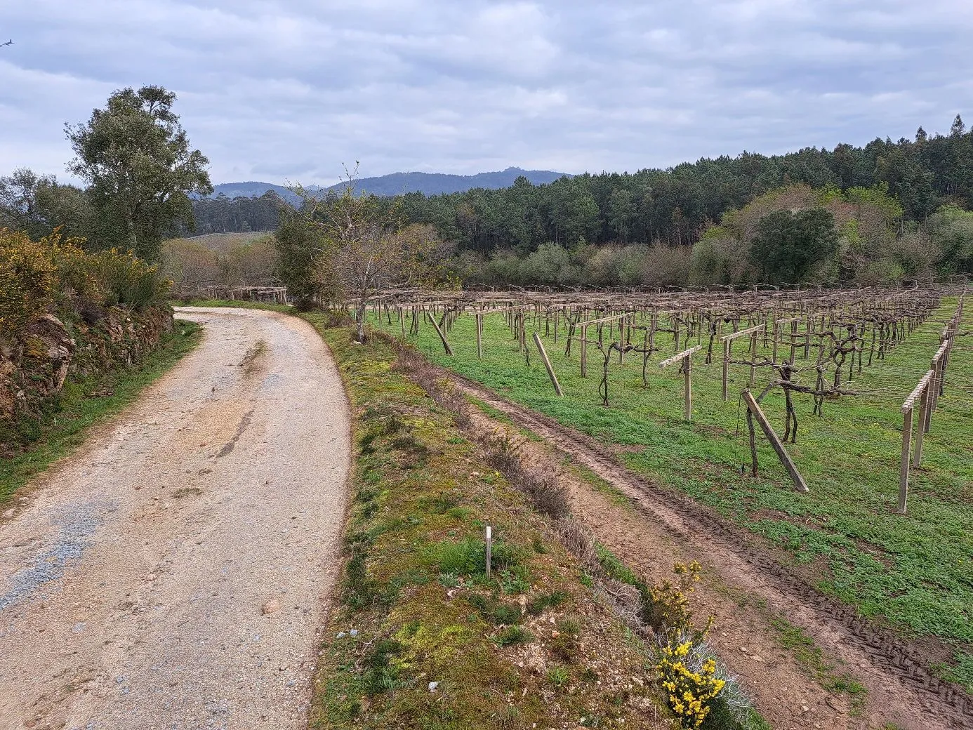 Route afbeelding slider