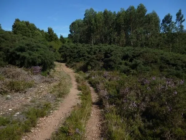 Route afbeelding slider