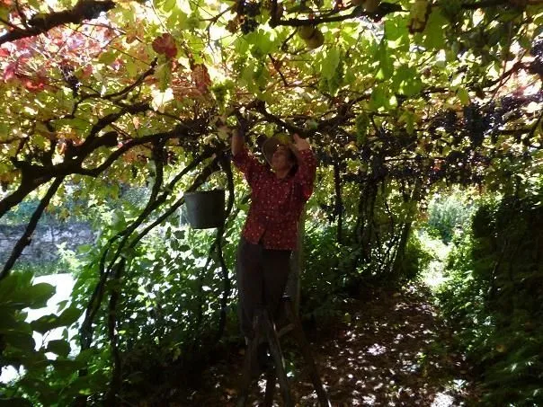 Route afbeelding slider