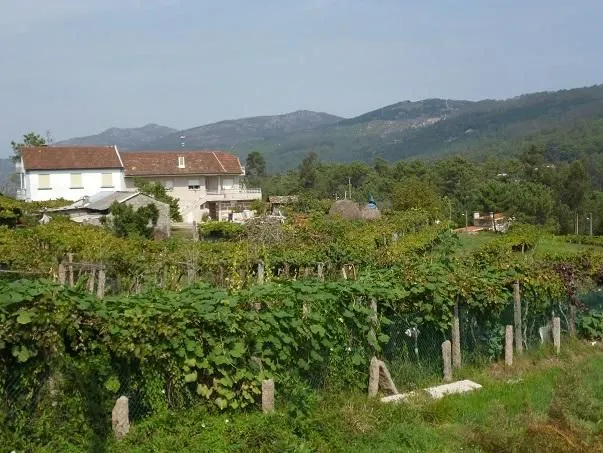 Route afbeelding slider