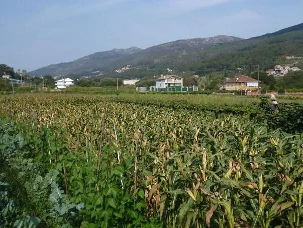 Route afbeelding slider