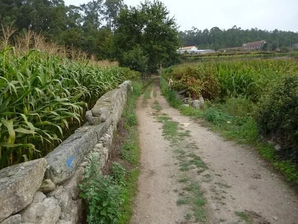 Route afbeelding slider