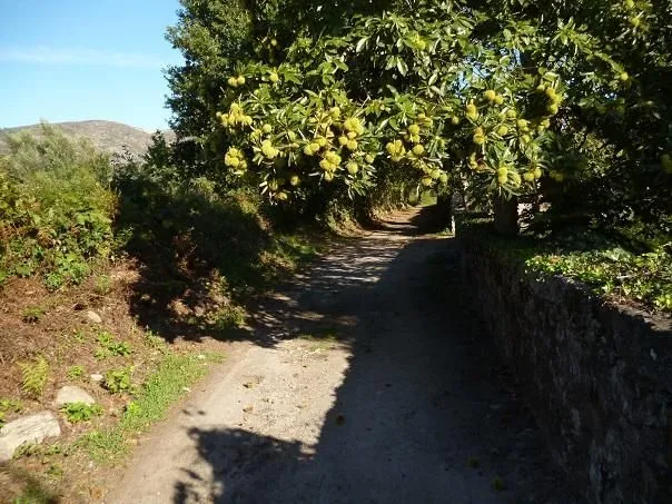 Route afbeelding slider