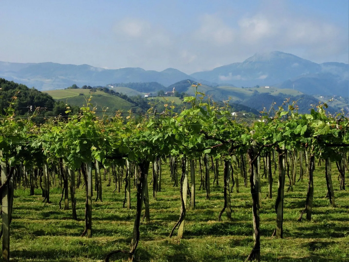 Route afbeelding slider