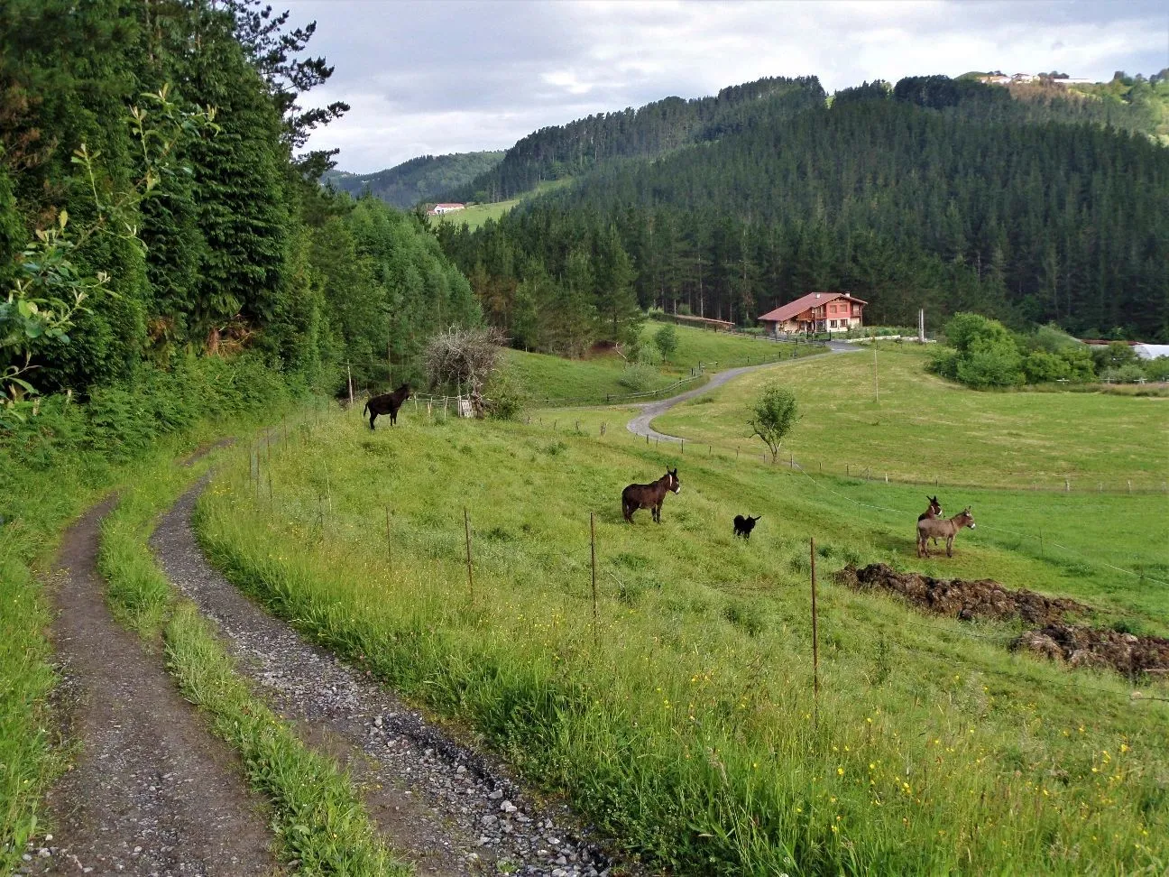 Route afbeelding slider