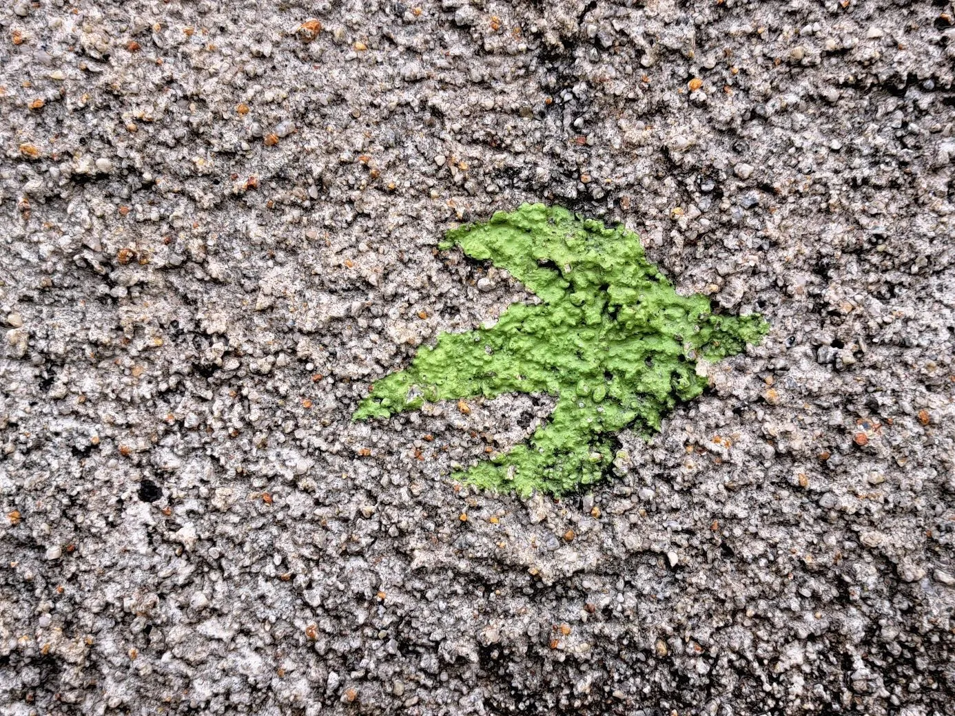 Route afbeelding slider