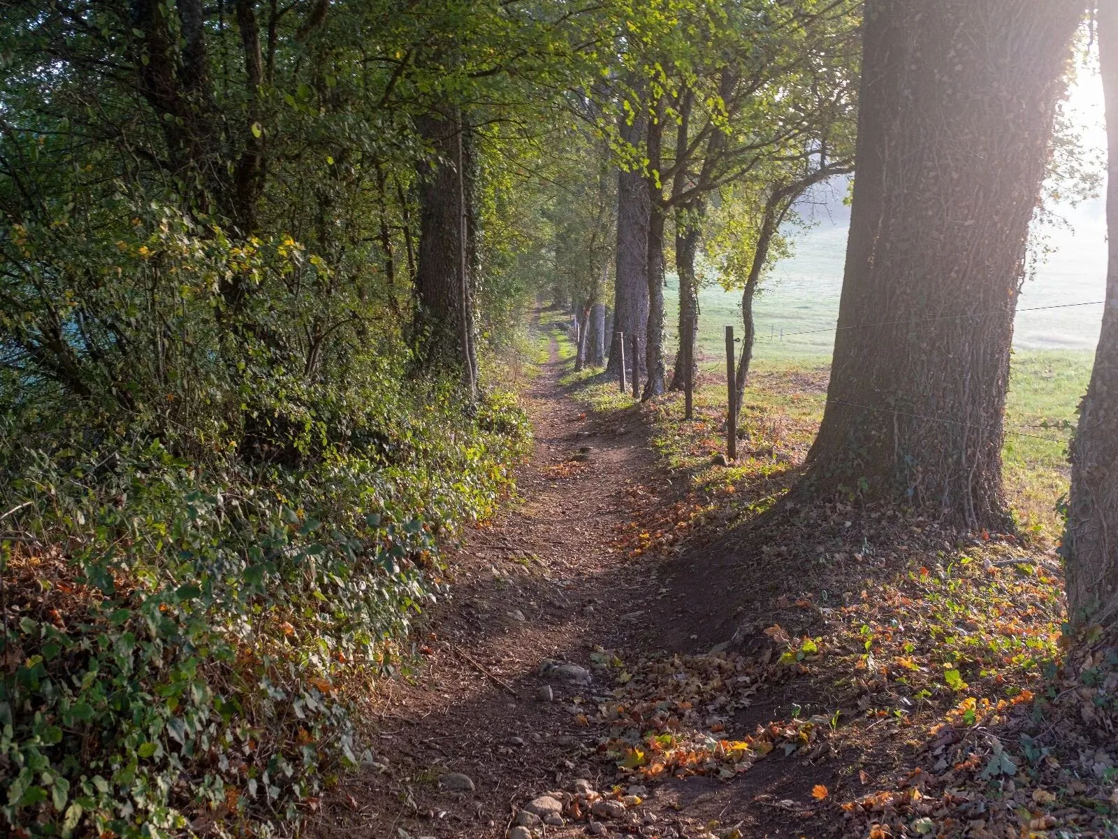 Route afbeelding slider