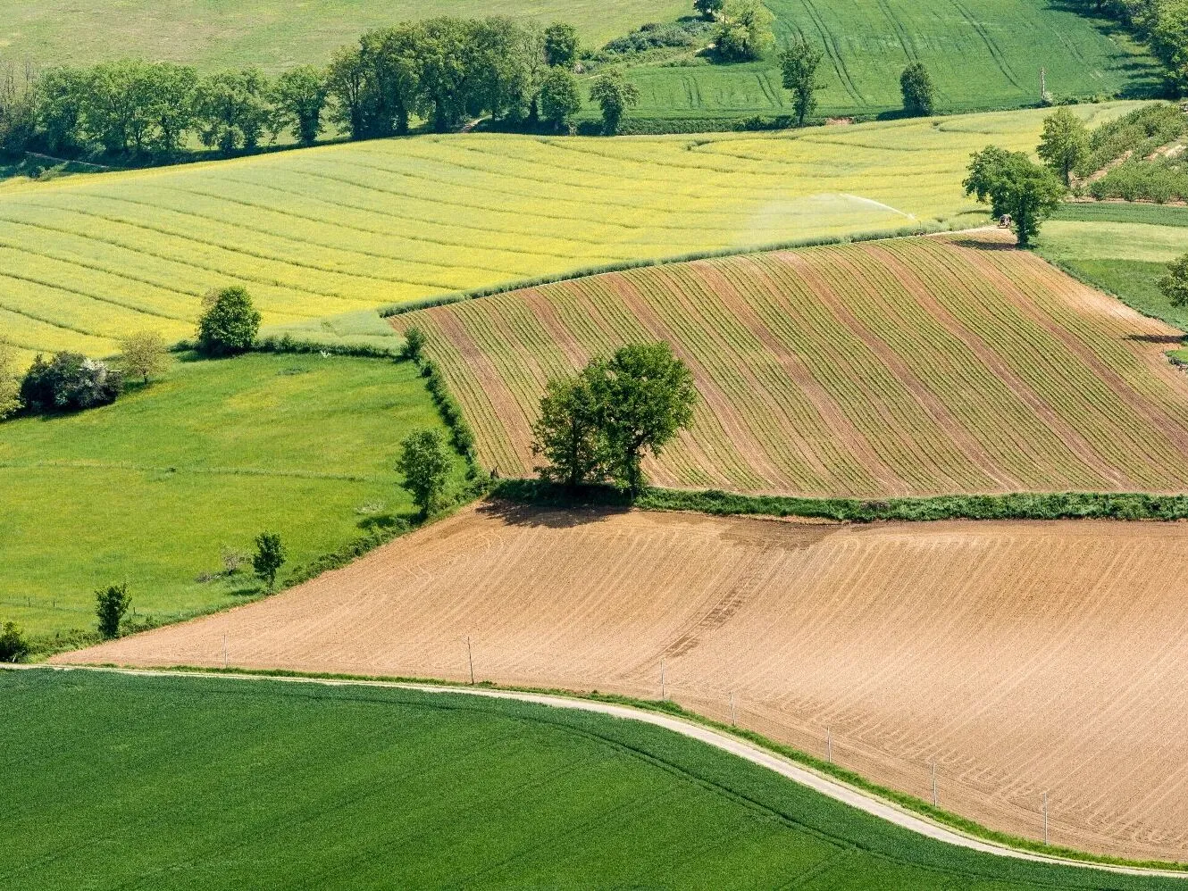 Route afbeelding slider