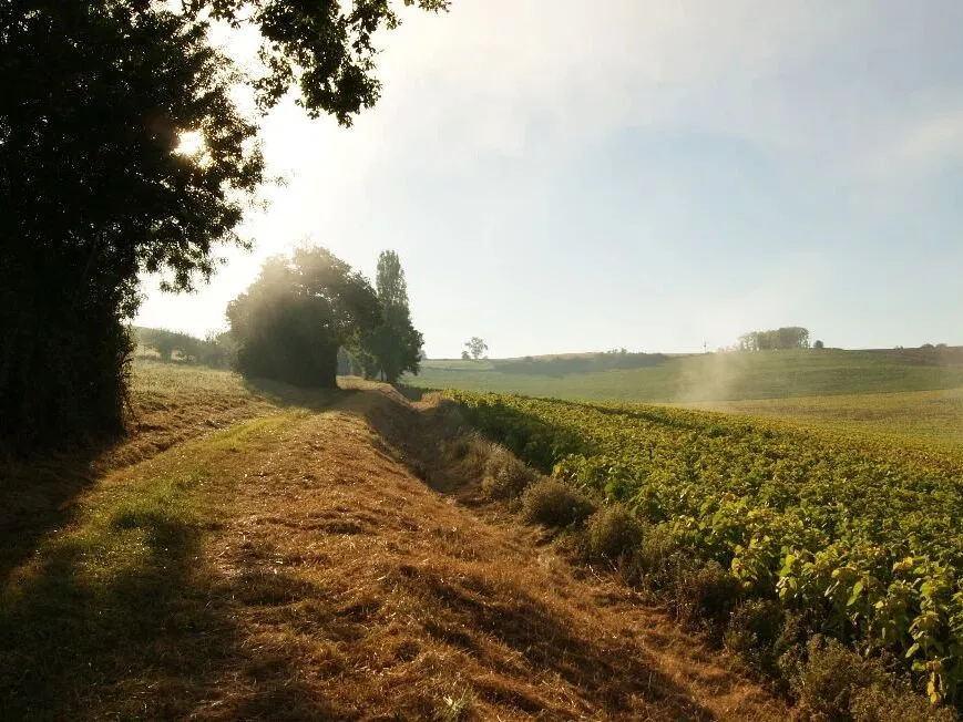 Route afbeelding slider